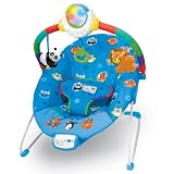 Baby Einstein Around The World Cradling Bouncer