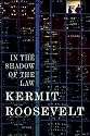 In the Shadow of the Law: A Novel
