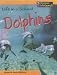 Life in a School of Dolphins (Animal Groups)