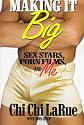 Making It Big: Sex Stars, Porn Films and Me