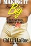 Making It Big: Sex Stars, Porn Films and Me
