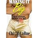 Making It Big: Sex Stars, Porn Films and Me