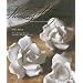Stealing Magnolias: Tales from a New Orleans Courtyard