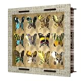 Decorative Paper Butterfly Display||AFTST||RF10F