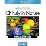 HD Moods: Chihuly in Nature [Blu-ray] [Import] <b>Blu-ray</b> ~ Dale Chihuly