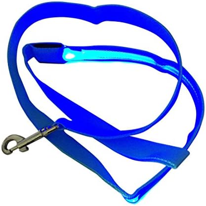 LED Lighted Dog Leash for Night Safety Blue