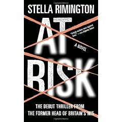 At Risk: A Novel