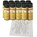 Hunting: Cabela's Stencil Kit with Paint (Grass/bark paint, 24
