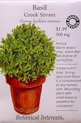 Basil Certified Organic Greek Yevani Seeds 200 Seeds