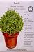 Basil Certified Organic Greek Yevani Seeds 200 Seeds