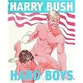 Hard Boys (Paperback)