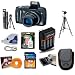 Canon Powershot SX110IS 9MP Digital Camera (Black) & Accessory Kit with 2GB Memory + Extra Batteries + Case/Tripod & More