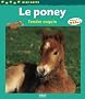 Le poney : Tendre coquin