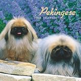 Pekingese 2009 Calendar