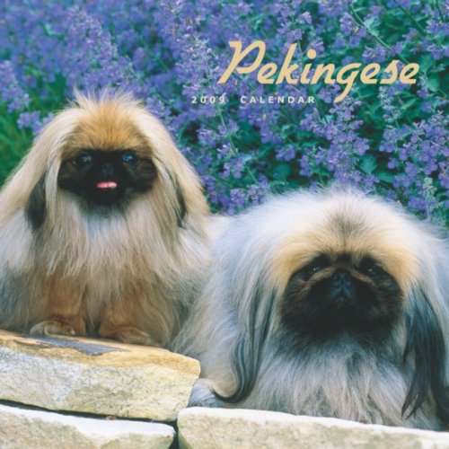Pekingese 2009 Calendar