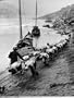 2 Rows of Chinese Trackers Plodding Along Bank of Yangtze River Towing a Junk Slowly Up River Photographic Poster Print by Dmitri Kessel, 18x24