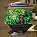 AeroGrow AeroGarden with Gourmet Herb Seed Kit