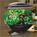 AeroGrow AeroGarden with Gourmet Herb Seed Kit