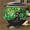 Lowest Price on AeroGrow AeroGarden with Gourmet Herb Seed Kit