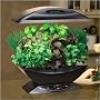AeroGrow AeroGarden with Gourmet Herb Seed Kit AeroGrow