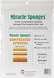Color Wheel Compressed Sponges, 2-Pack