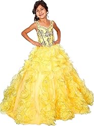Girls  Organza Crystals  Lace Crystal  Ball Gown Pageant Dress/Party Dress  With Ruffles