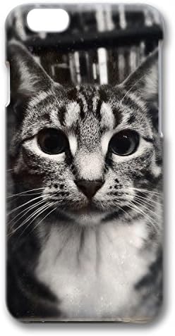iPhone 6 Case, CUSTSIGNER 3D Surrounded Print Series Polycarbonate Scratch-Resistant Perfect Fit Anti-Slip Good Grip Case For iPhone 6(4.7) Matte Feel Surface Design Cat 3