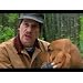 Product Video: Best in Show-Trailer
