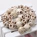 100 LOOSE WHITE SKULL BEADS HOWLITE TURQUOISE CARVED SKULL GEM LOOSE BEAD Approx. 10x12mm [Make your own POWER NECKLACE OR BRACELETS ]