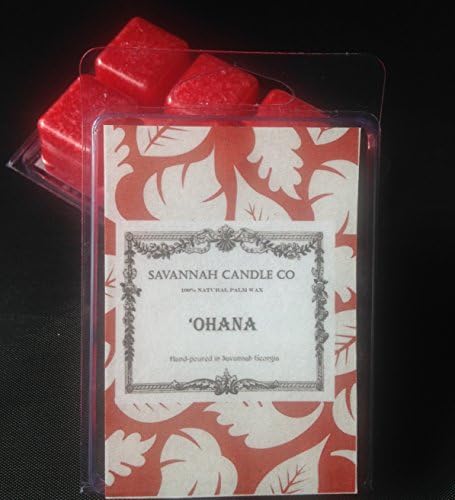 Savannah Candle Co Disney Inspired Palm Wax Candle Melt Ohana