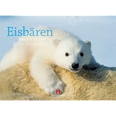 Eisb�ren 2011. Kalender / Polar Bears ours Polaires