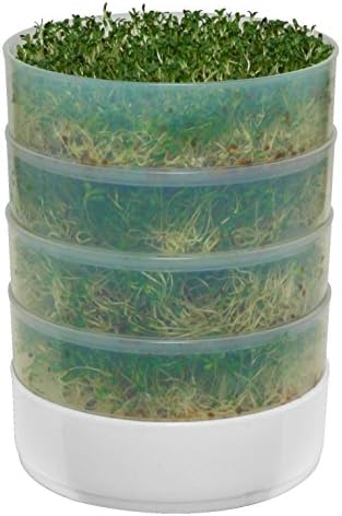 Victorio Vkp1014 4-tray Kitchen Seed Sprouter