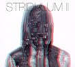 Stridulum II