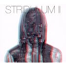 Stridulum II