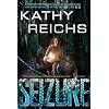 Seizure: A Virals Novel