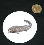 3" button / pin printed with Dunkleosteus
