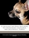 11 Excellent Lap Dogs Including the Dachshund, Chihuahua, and Jack Russell Terrier