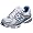 Silver/Blue
