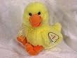 WEBBER DUCK PLUSH TOY 12" H
