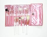 niceEshop(TM) 20-Pieces Professional Cosmetic Brush Set with Pouch,Set of 20 Brushes and 1 Pouch-Pink