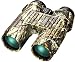 Bushnell Legend 10x42 Waterproof/Fogproof Roof Prism Binocular (Realtree AP Camo)