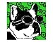 Green Boston Mod Pop art Animals Photographic Poster Print by Angel Turner Dyke, 10x8