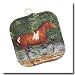 Spring Creek Run Pot Holder By Blonder Home Accents