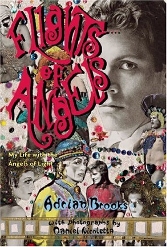 Flights of Angels: My Life with the Angels of Light Book Image