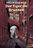 Der Tiger im Brunnen: Abenteuer-Roman