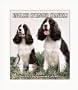 English Springer Spaniels 2005 Weekly Engagement Calendar