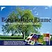 B�cher f�r Orakel, Mystik, Heilsteine