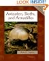 Anteaters, Sloths, and Armadillos (Animals in Order)