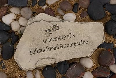 Evergreen 85002 Garden Tiding Stone, In Memory of a Faithful Friend and Compa...