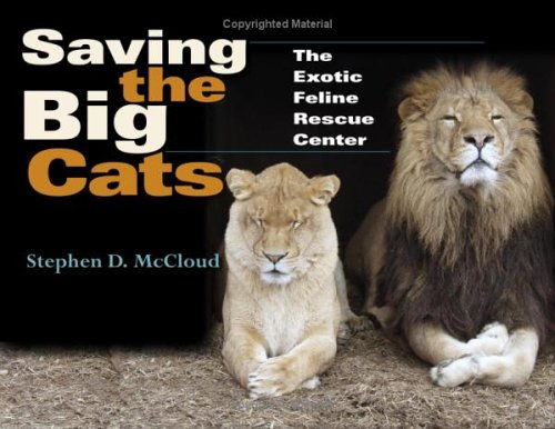 Saving the Big Cats: The Exotic Feline Rescue Center (Quarry Books)